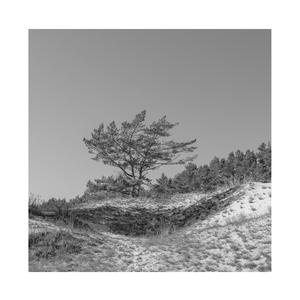 农村小男娃小嫩茎小说
